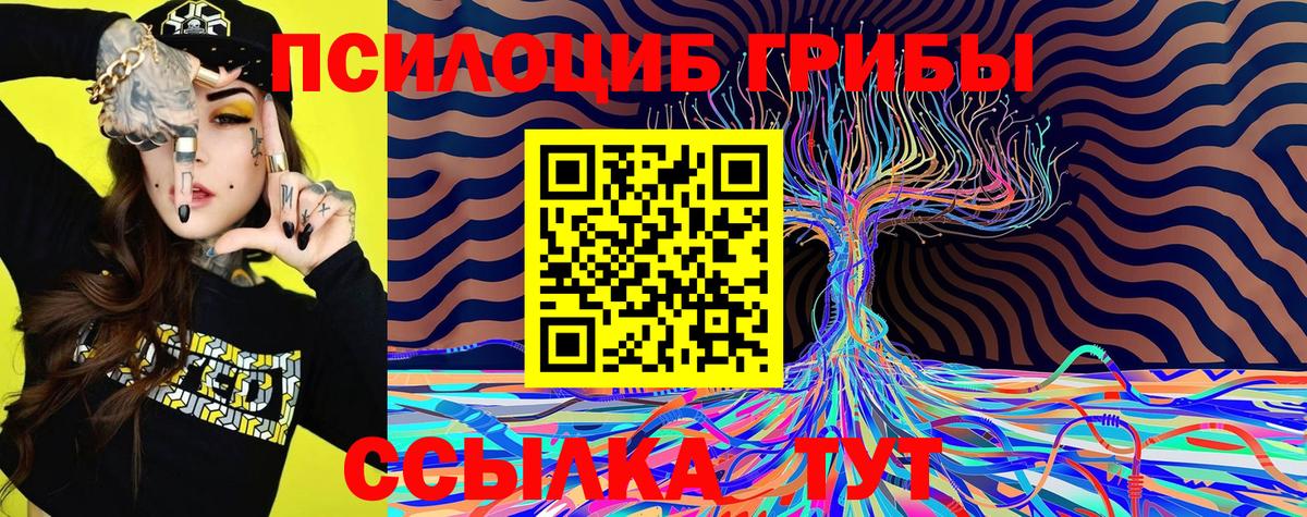 Тула  Галлюциногенные грибы прущие грибы  Вход с VPN  сколько стоит  Галлюциногенные грибы Psilocybine cubensis 