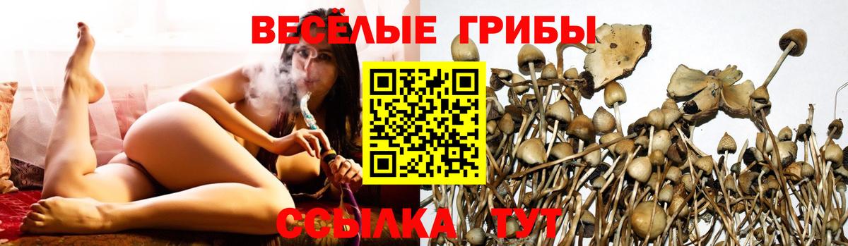 Галлюциногенные грибы мицелий Тула